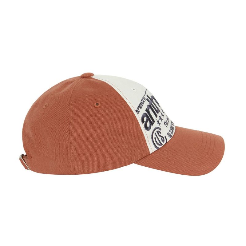 MAXIMAL GRAPHIC BALL CAP(BRICK) | VIVASTUDIO